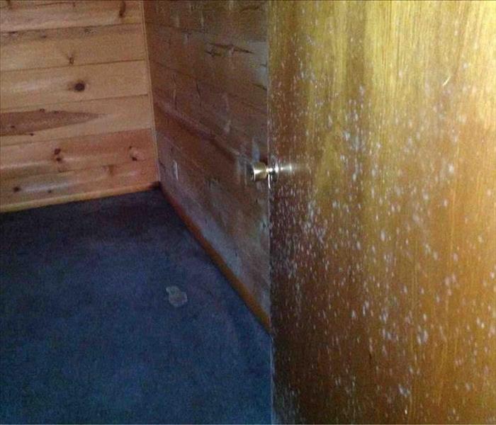 Mold in Spokane home