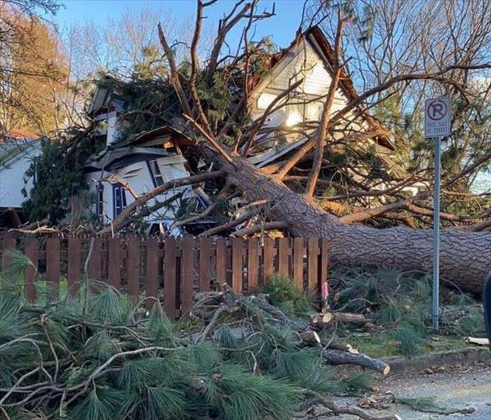 Fallen tree damages Spokane home